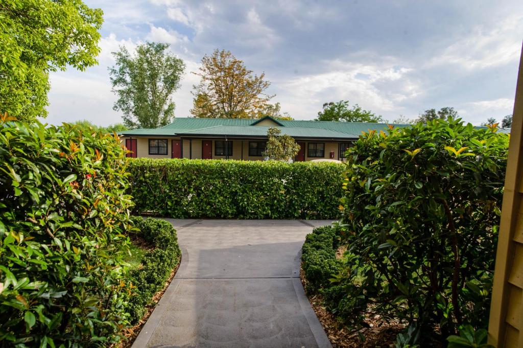 The Grapevine Motel, Denman