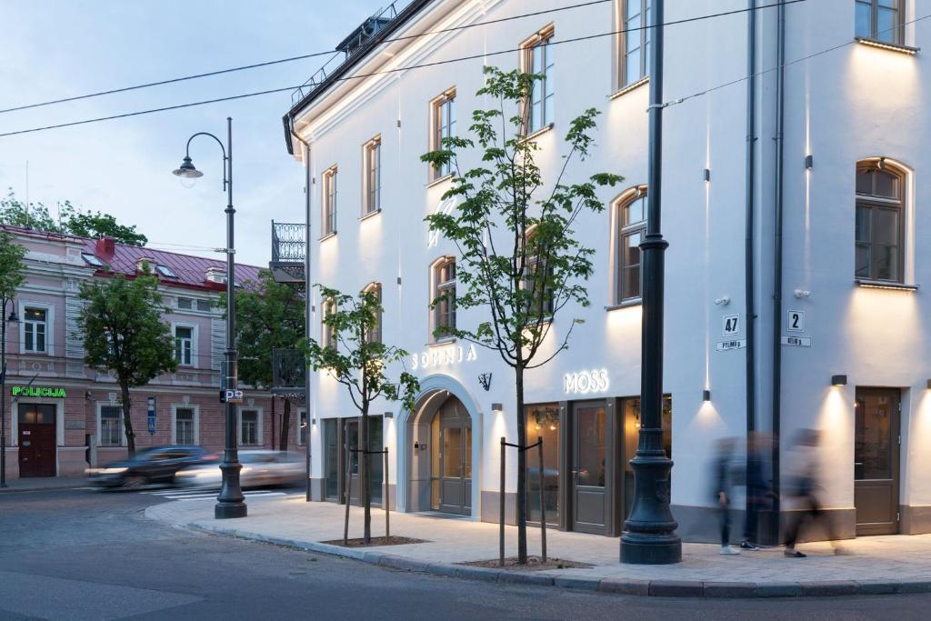 Somnia Apartments photo