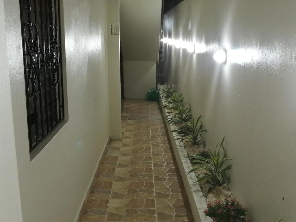 Villa Laura Jarabacoa photo