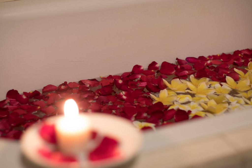 편의 시설/서비스