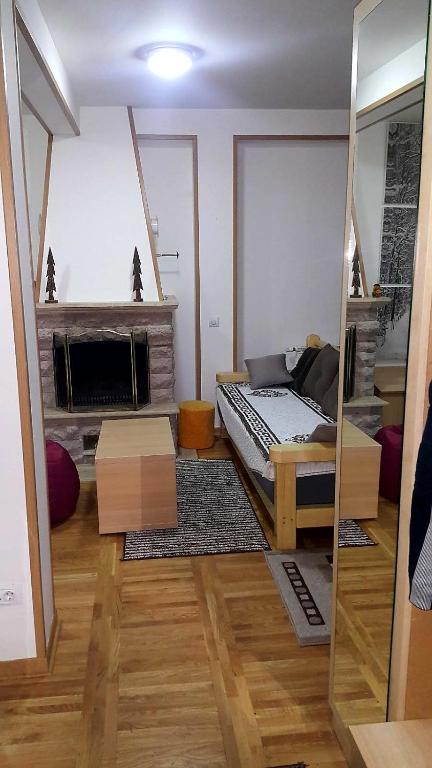 Apartman sa kaminom Vila Mina - 1