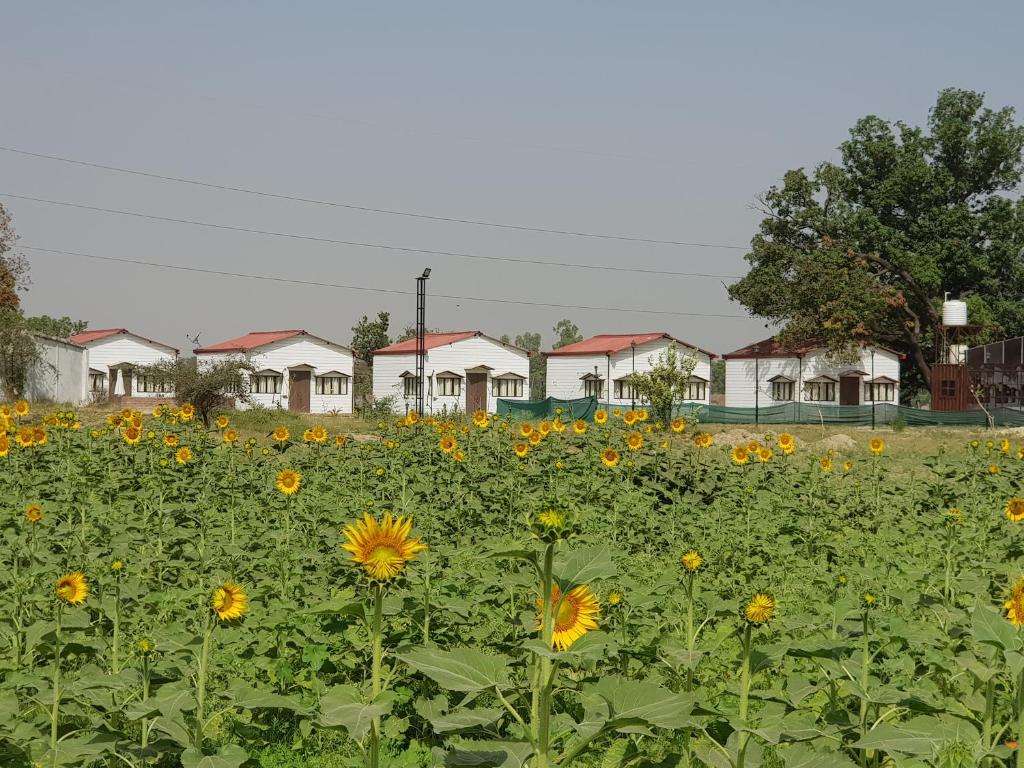 Living Green Farms photo