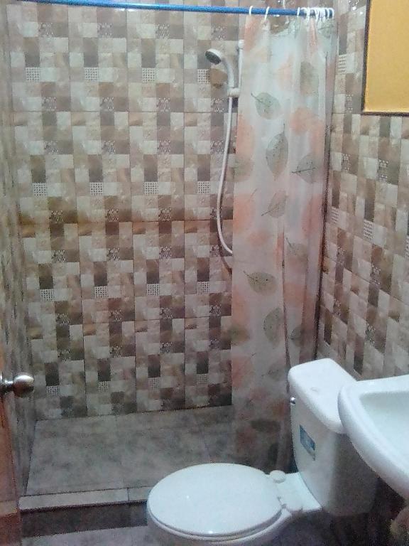 Ligaya's Pension House photo
