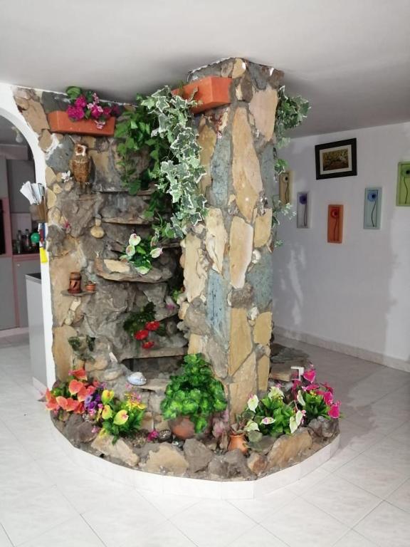 Hostal Dante - 1