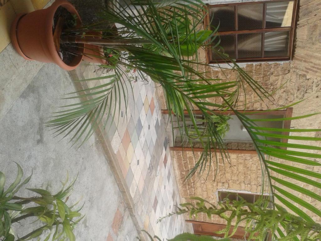 Casa Jocotenango photo
