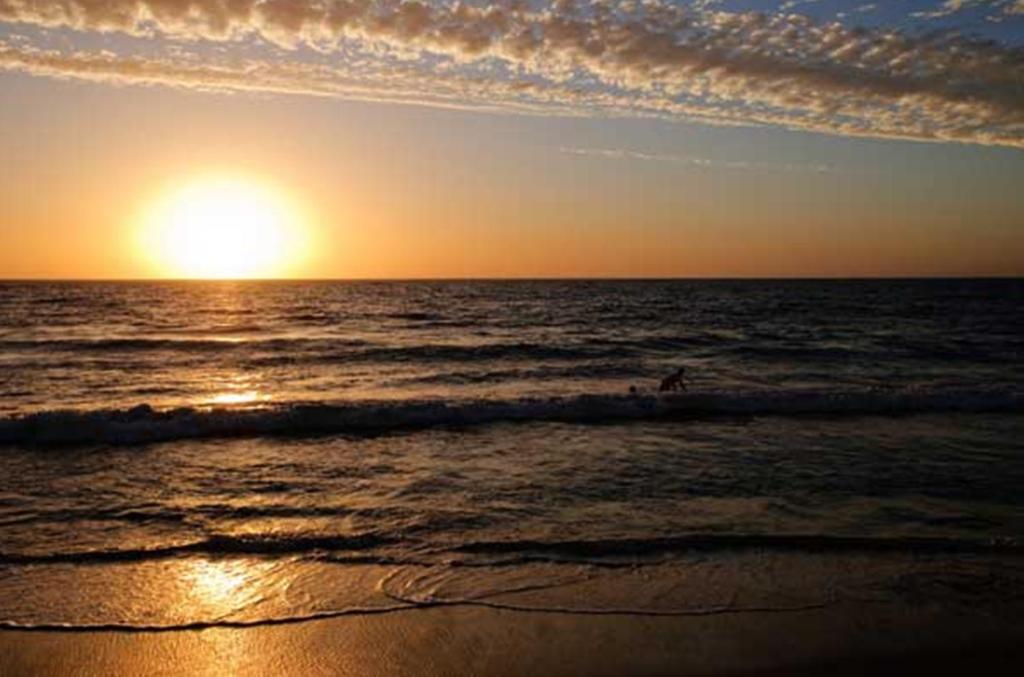 Ocean View Motel photo