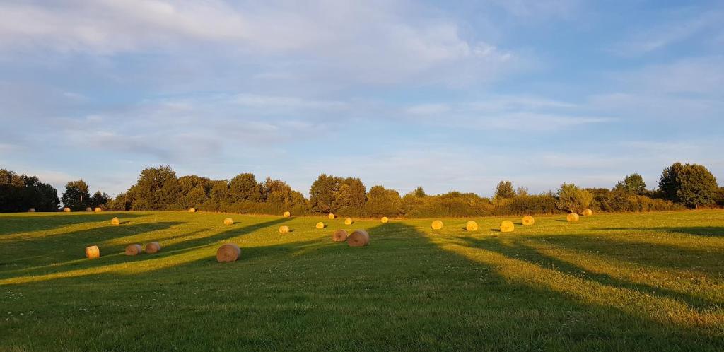 Domaine de la Dame Blanche photo