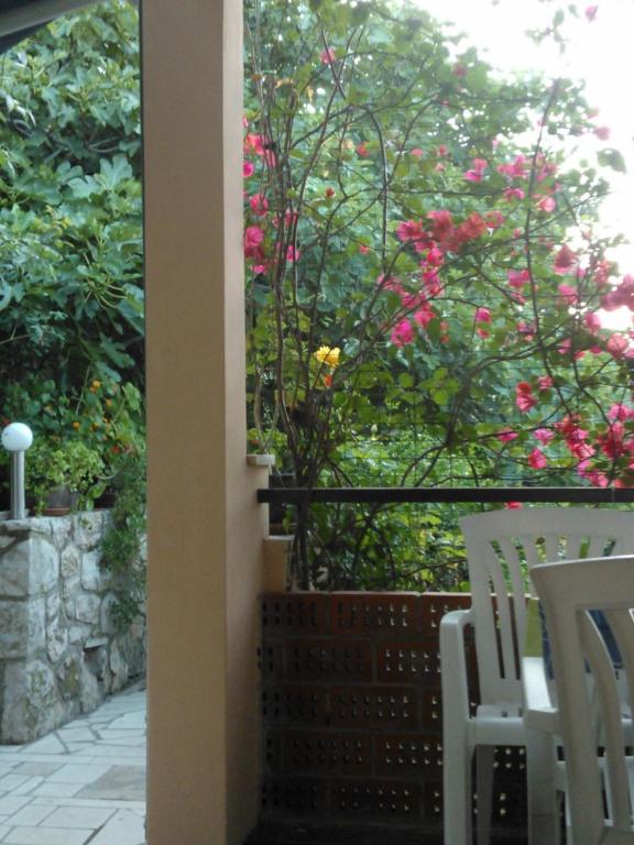 Apartments Anica photo