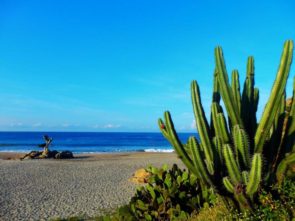 Hotelito Swiss Oasis -Solo Adultos - Adults only photo