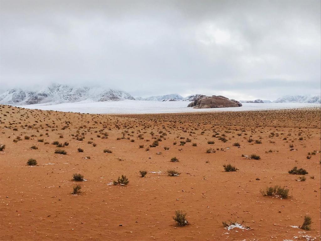 Wadi Rum Magic Nature Camp photo