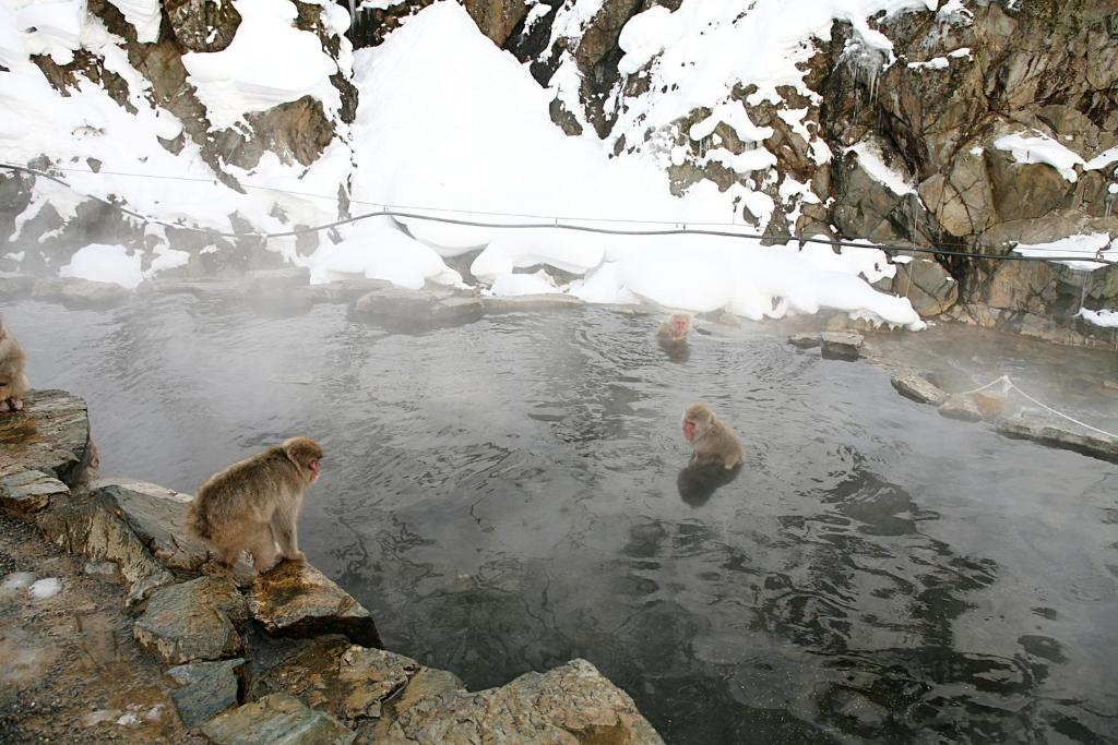 Nearby attraction