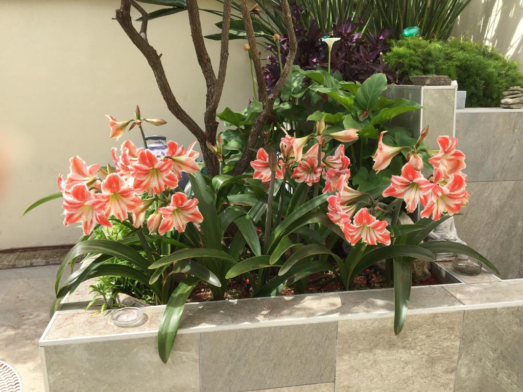 Apartamento Bizcocheros con piscina y jardín privado - 4