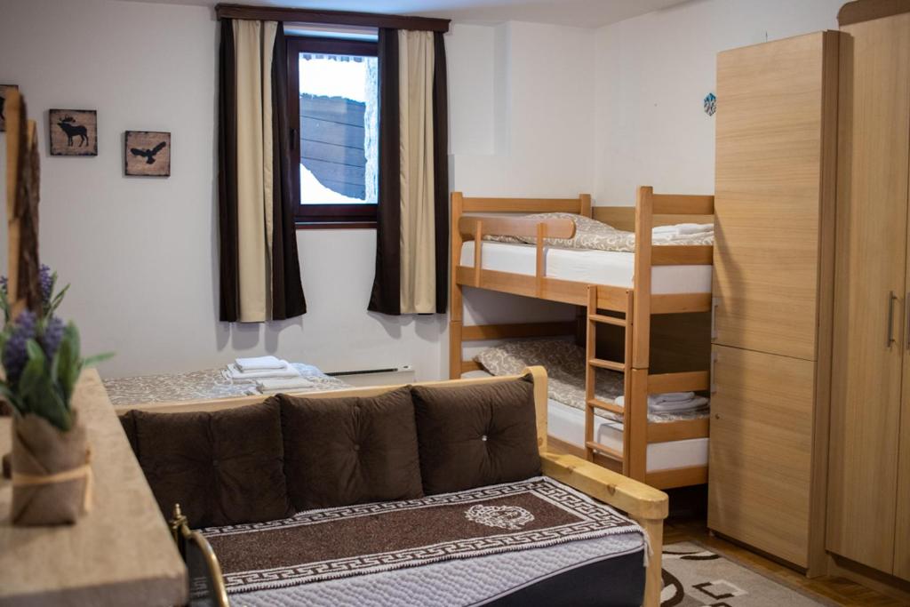 Apartman sa kaminom Vila Mina - 3