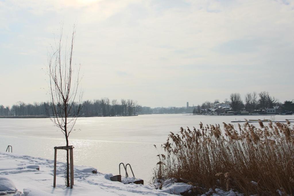 Strandhotel Alte Donau photo