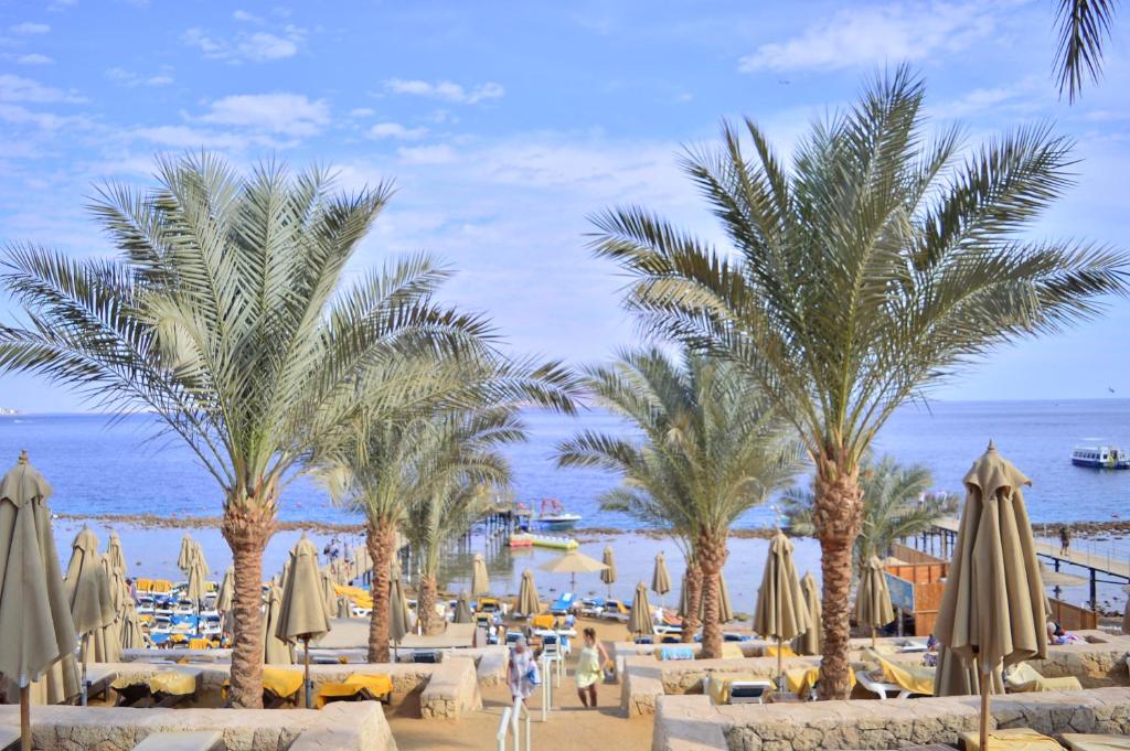 Beach, Xperience Sea Breeze Resort in Sharm El Sheikh