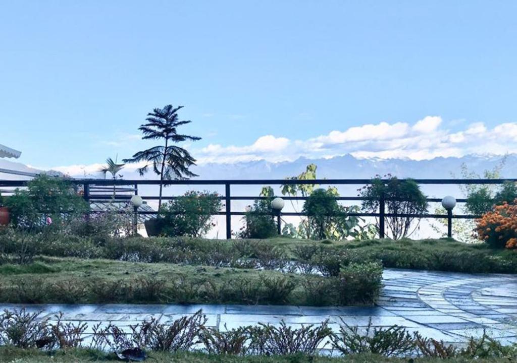 View