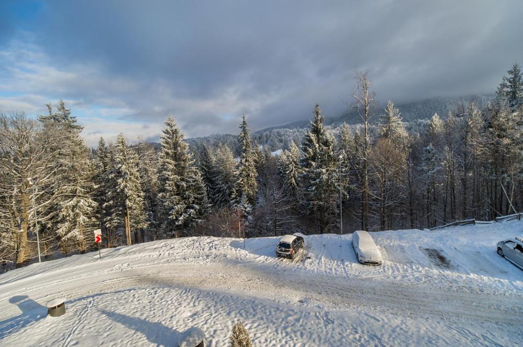 Silver Sunrise studio in Silver Mountain photo