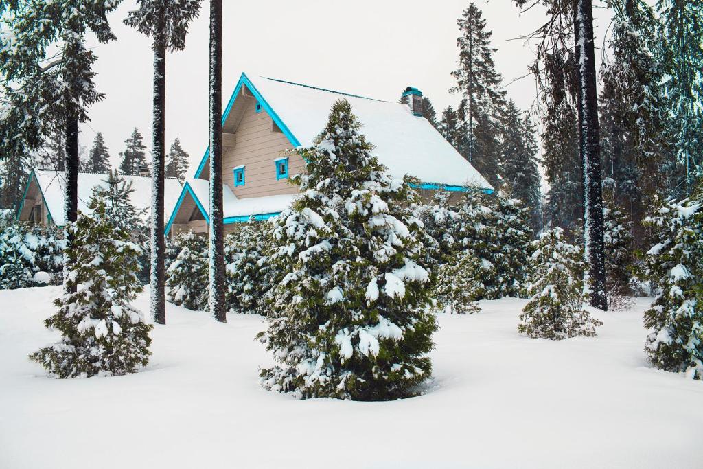 Igora Resort — Hotel in Orekhovo