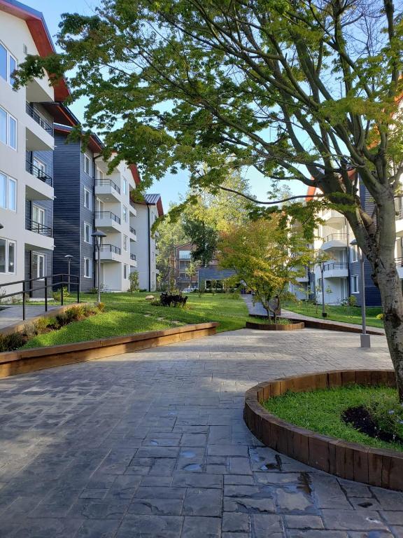 Sueños del Volcán - 5