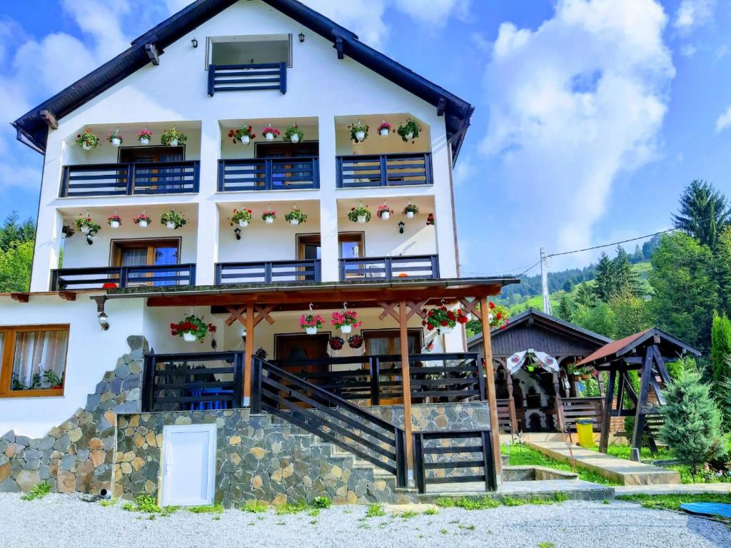 Vila Confort — Hotel in Borsa