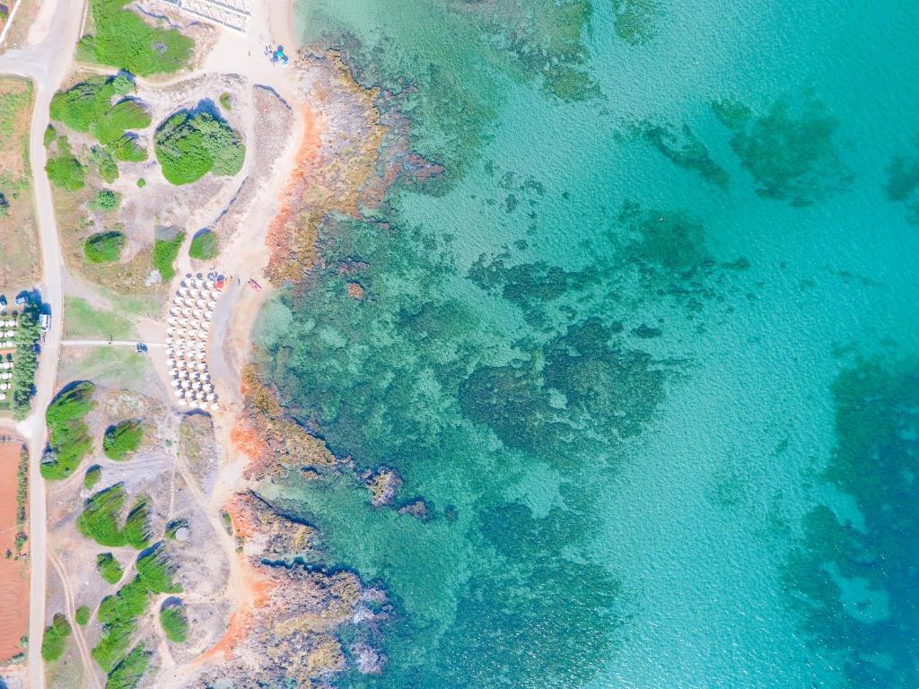 Torre Guaceto Greenblu Resort — Plaża in Carovigno, Apulia
