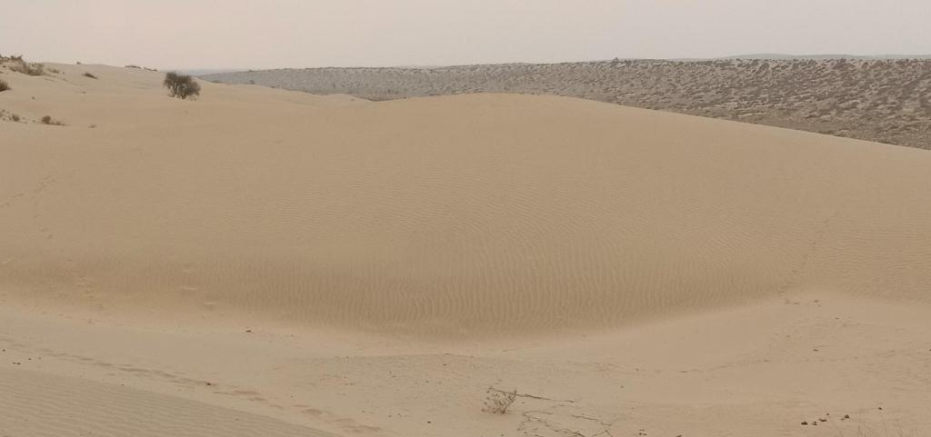 ビジネスセンター