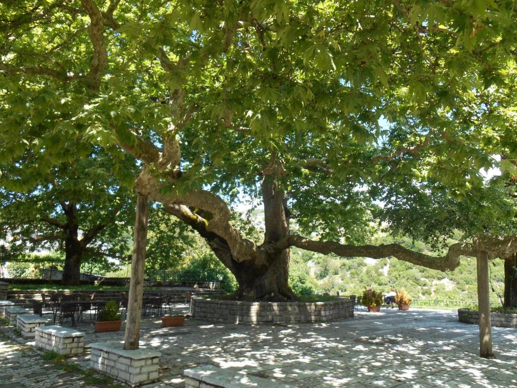 Archontiko Evridikis photo