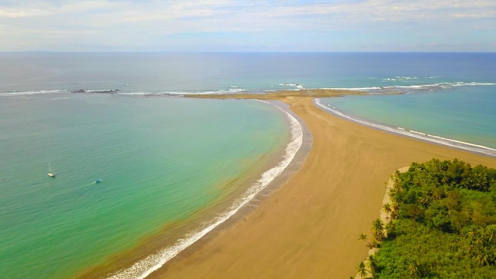 Osa de Rio photo