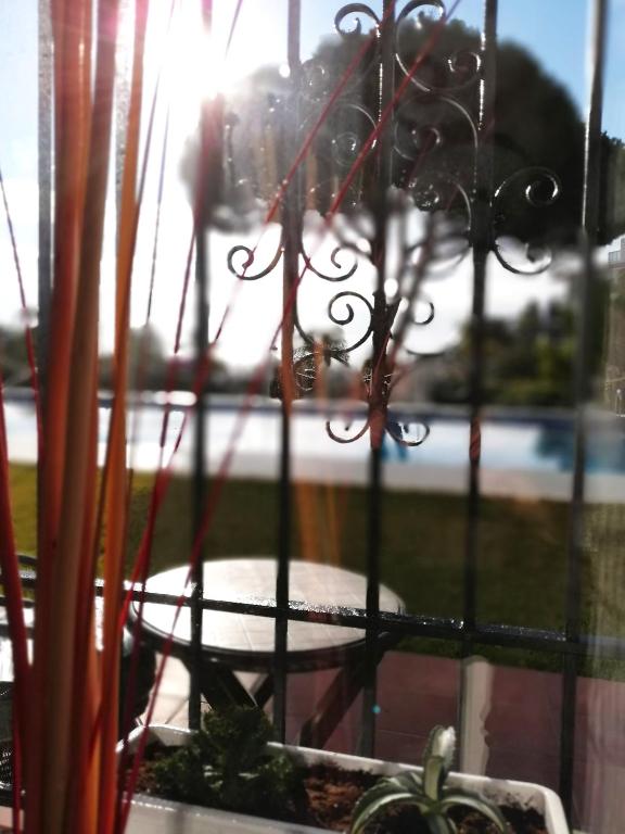 Verdemar Apartment with Sea View and Garden - 5
