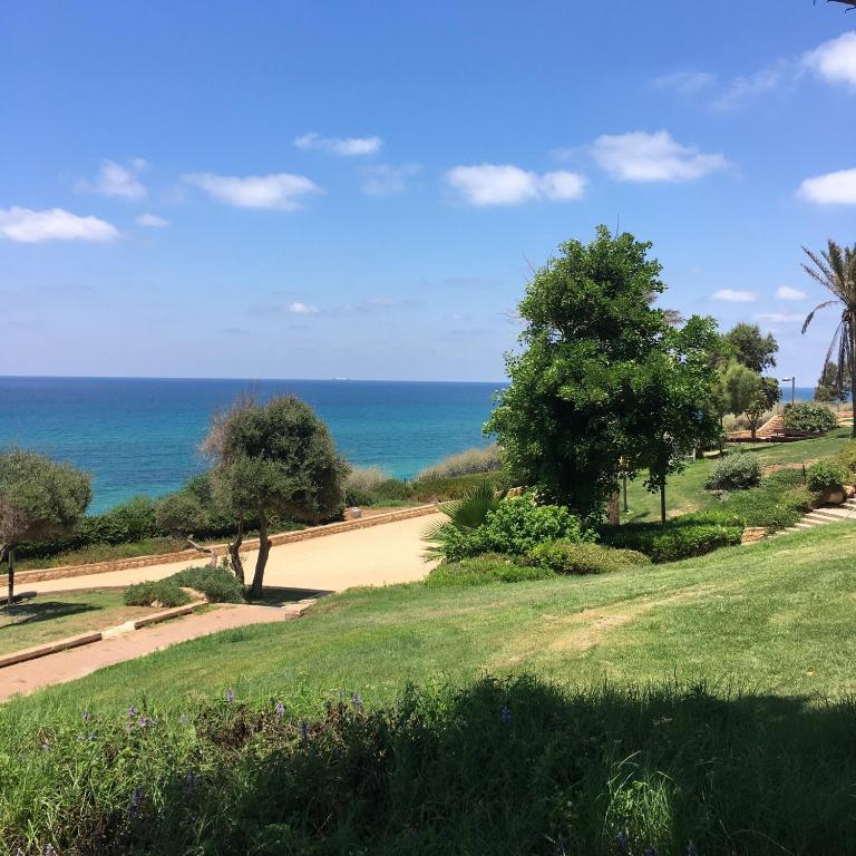 Surrounding environment