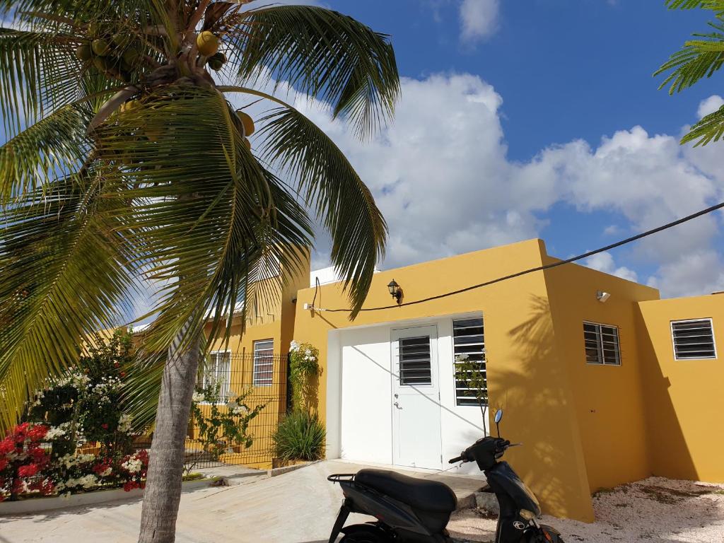 Belnem Apartments for Rent, Bonaire St Eustatius and Saba price from