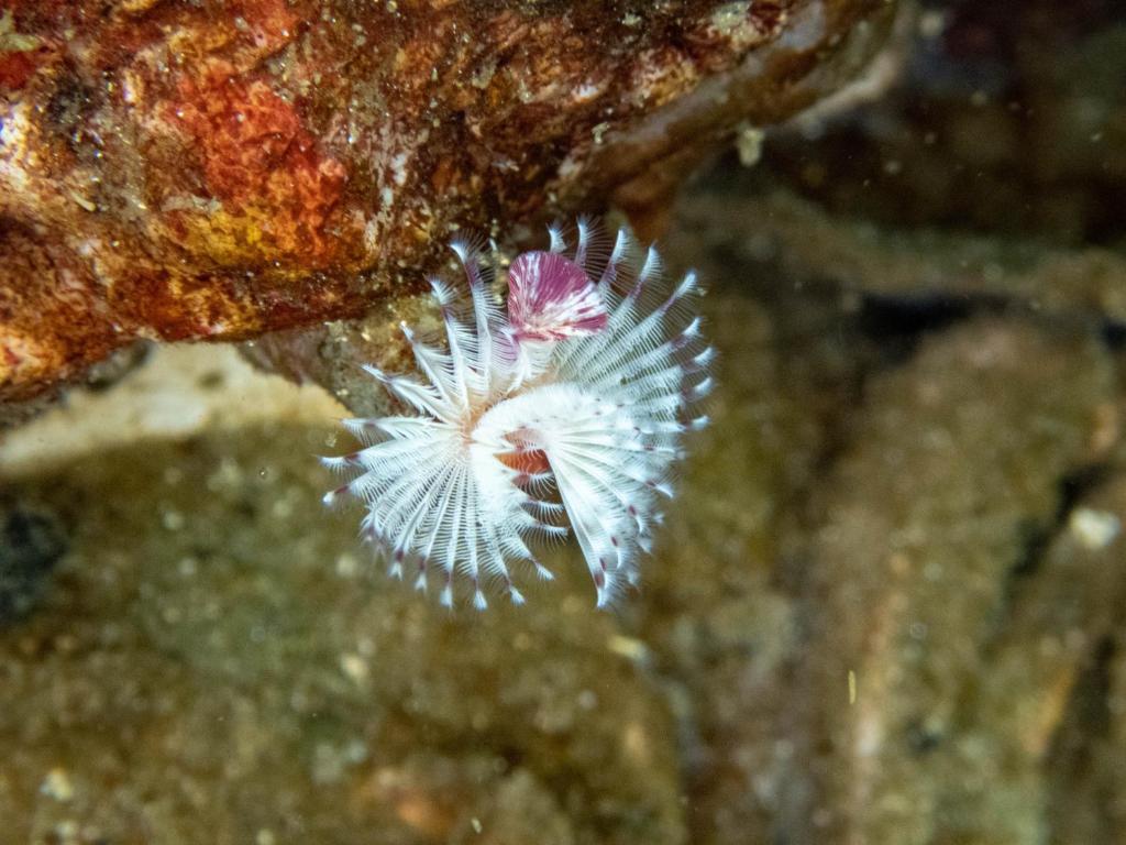 Sports and activities