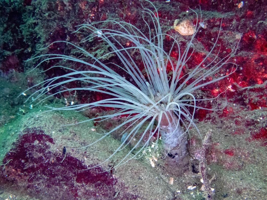 Sports and activities