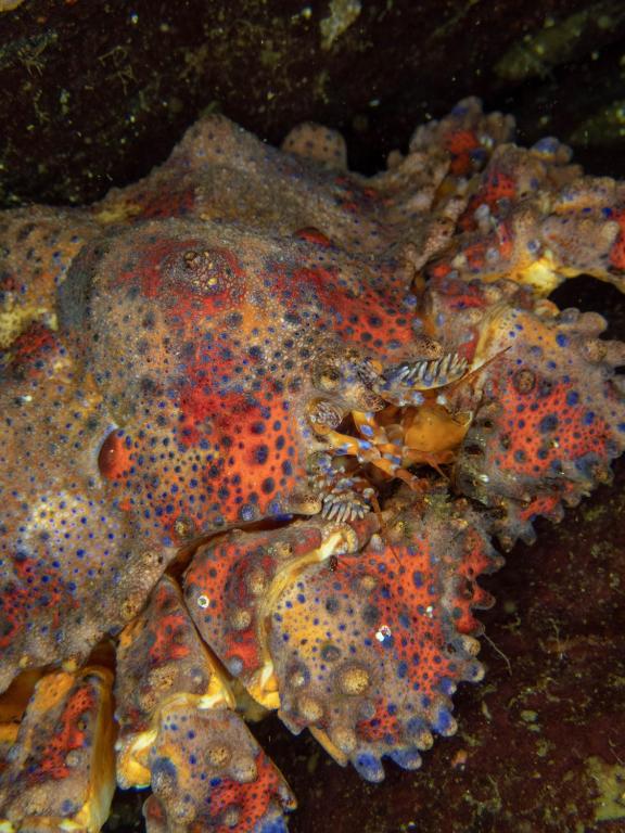 Sports and activities