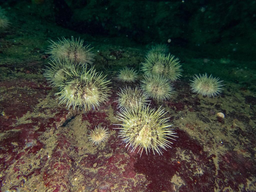 Sports and activities