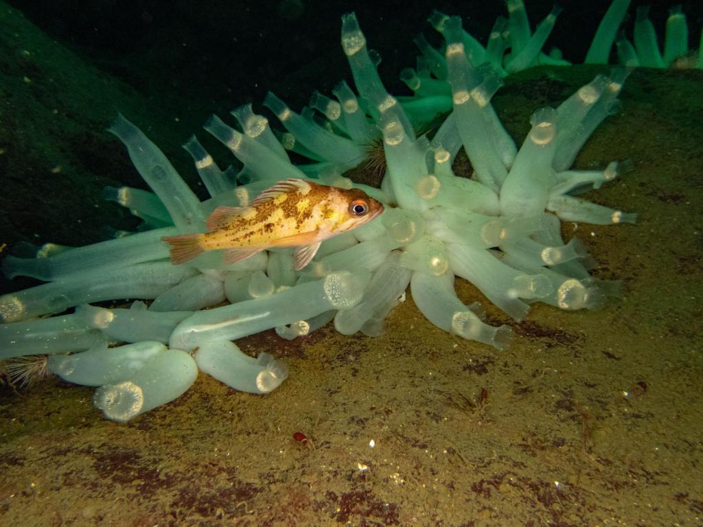 Sports and activities