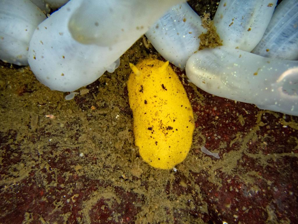 Sports and activities