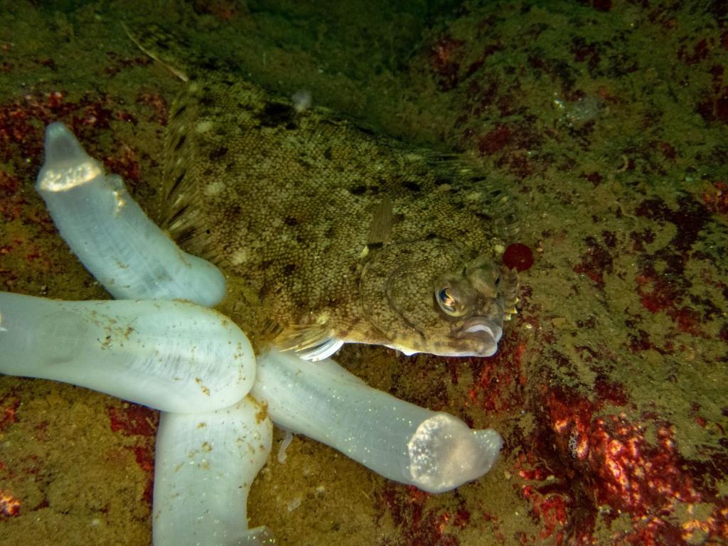 Sports and activities