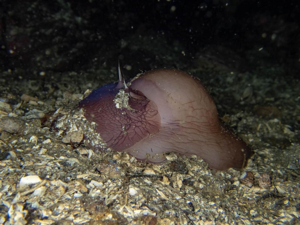 Sports and activities