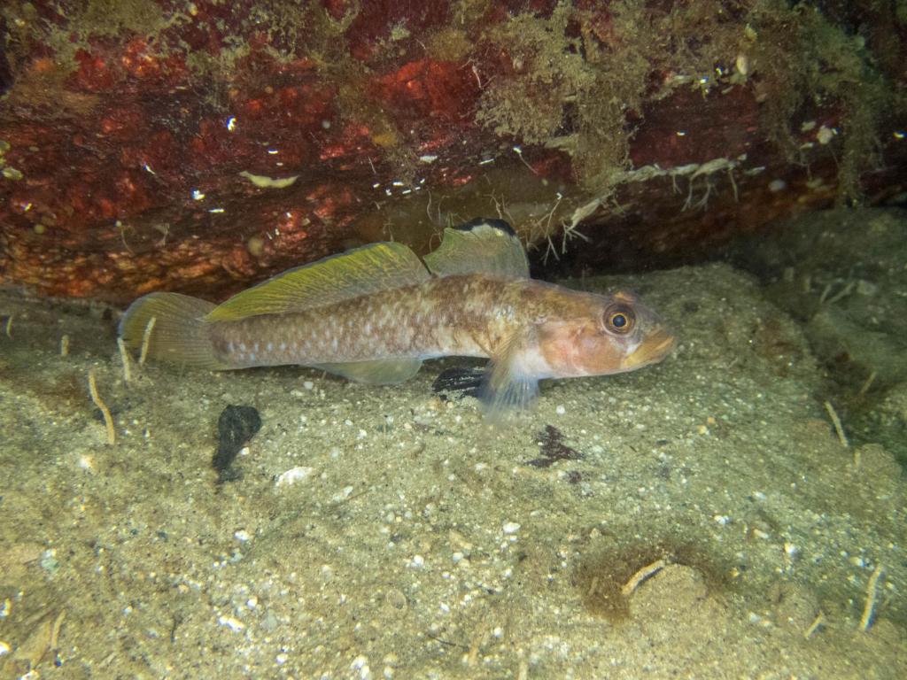 Sports and activities