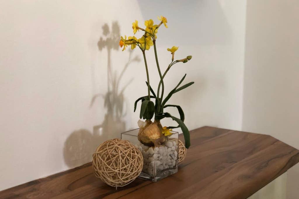 Lanesra Home @ Lahat photo