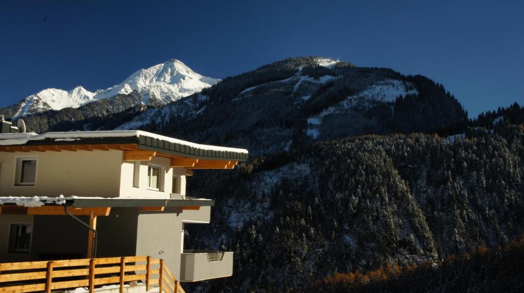 Bergblick - 5