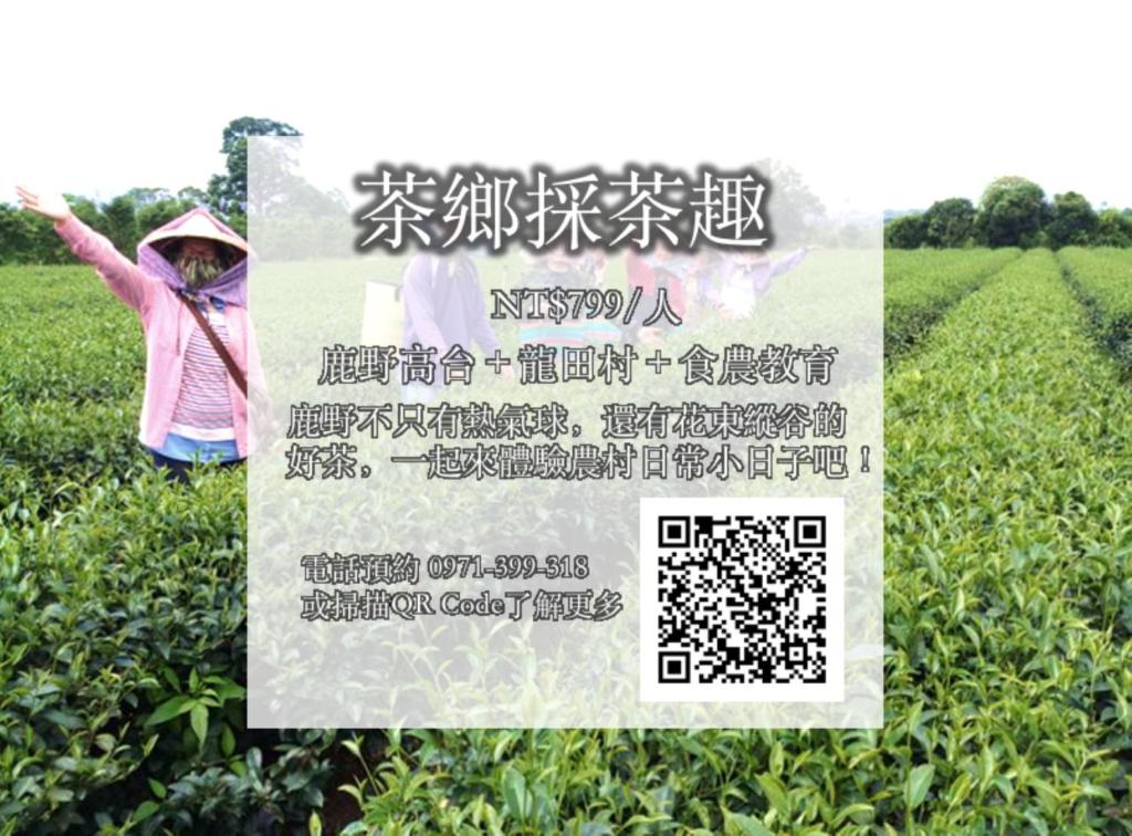 Programlehetőségek