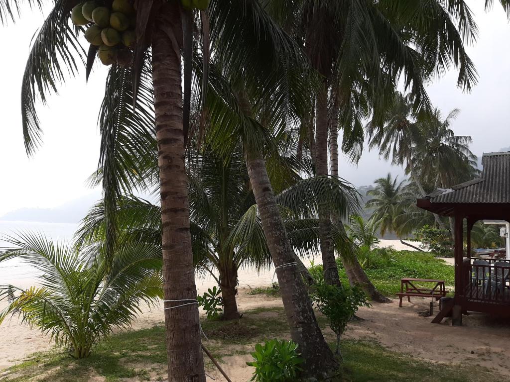 Permai Chalet Tioman photo