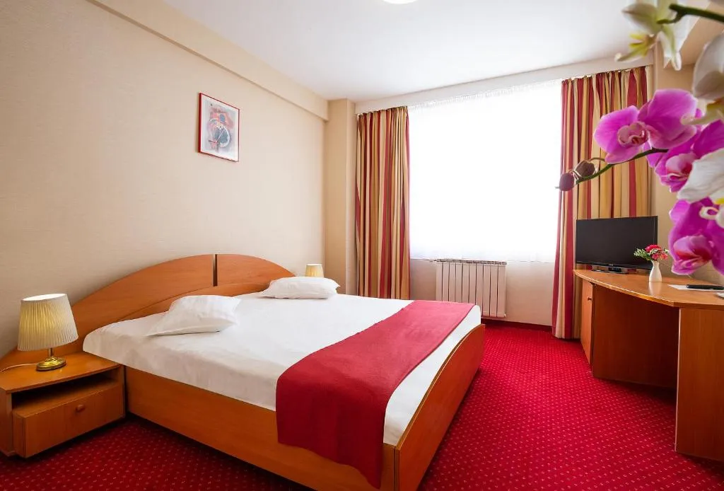 Hotel Dana, hotel in Satu Mare