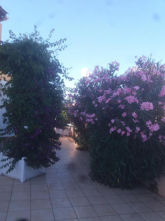 le gardénia - 2