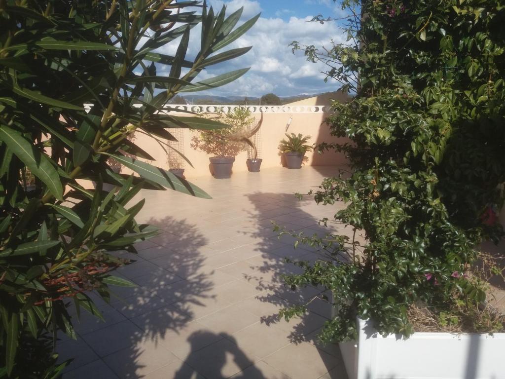 le gardénia - 4