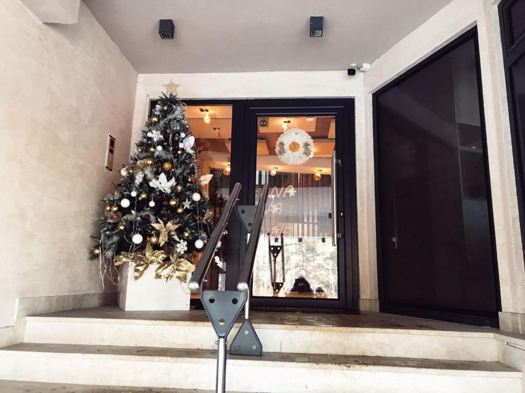 Vila Pekovic Apartman P8 - 3