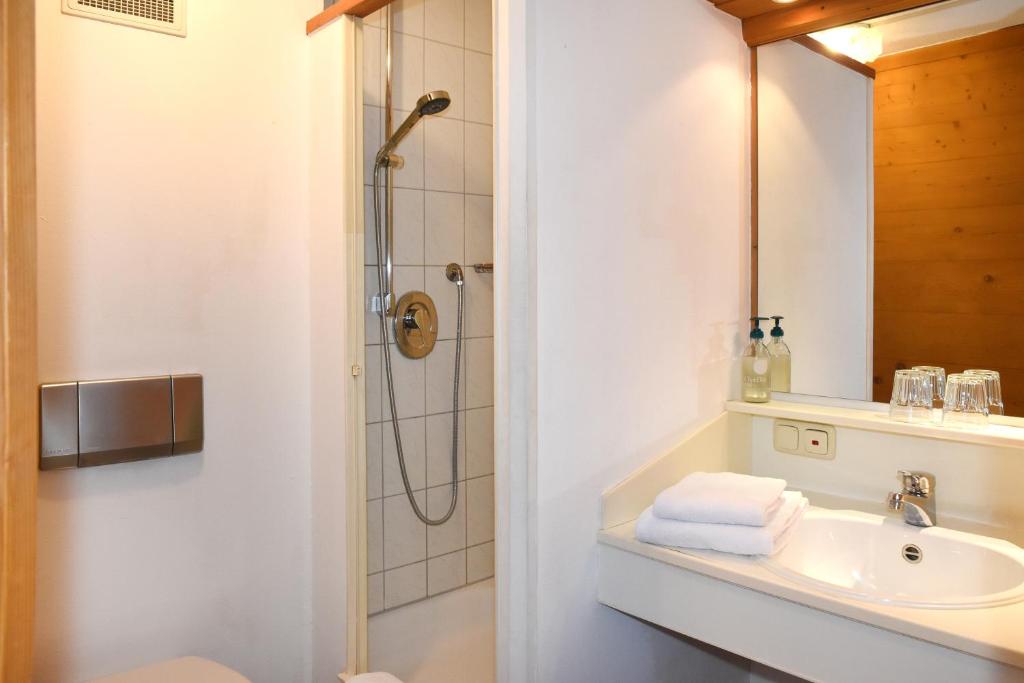 Alps Hostel photo