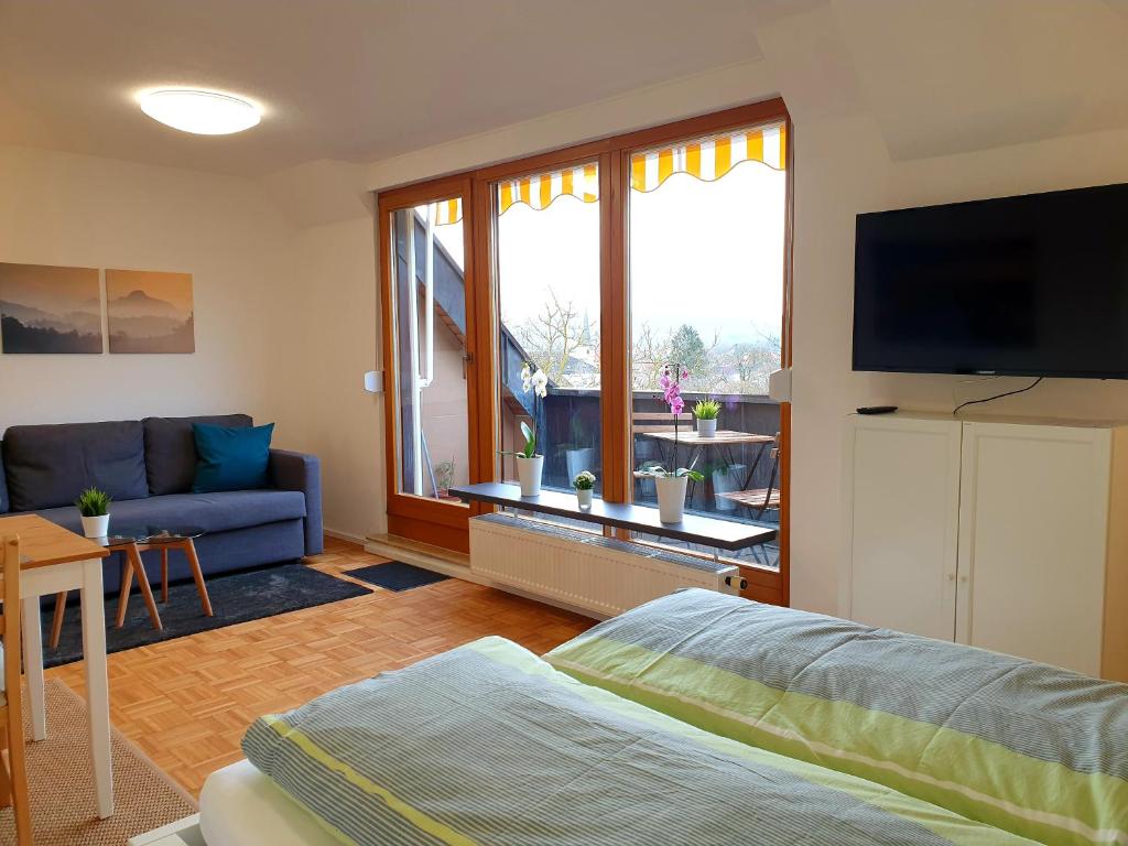 Wohlfuhl-Apartment Bad Kissingen IV 전경